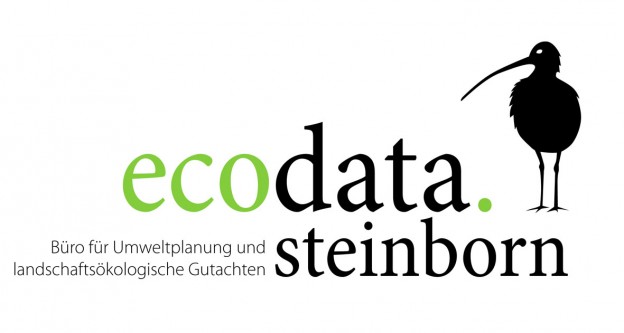 Logo_steinborn2.indd